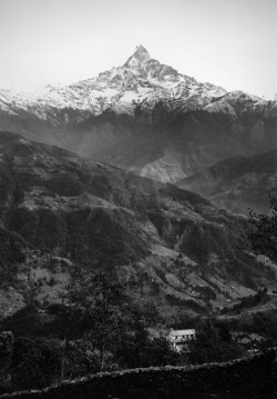 i-long-to-travel-the-world:  kerrytravel: Mount Machhapuchhre  | 6,993 m / 22,943 ft In the… - If you love this beautiful picture, like it. We post stuff just like this every day on Facebook. Like us by clicking here: http://on.fb.me/1bgLOYJ - You