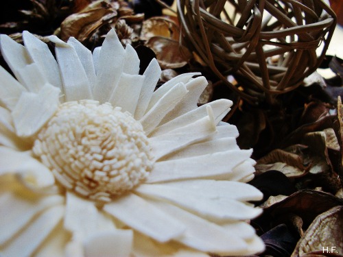 Potpourri, In A Bowl In My House.