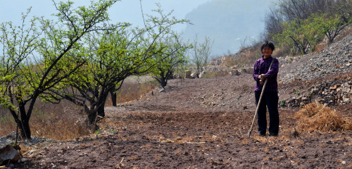 A local peasant woman stopped to take a break while working her field. Photo taken near the Nangudon