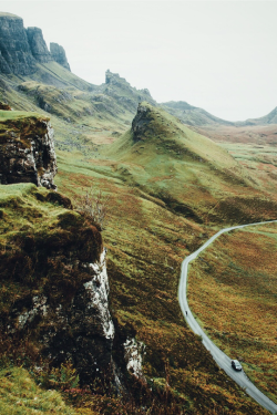 tulipnight:  Edgy by Daniel Casson  