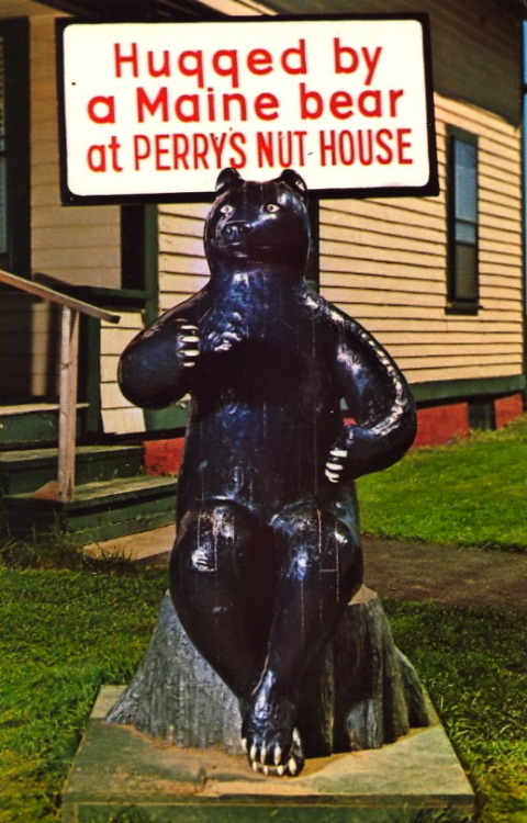 bad-postcards: NUT HOUSE BEAR Perry’s Nut House FAMOUS BEAR Life sized hand carved Maine Bear.