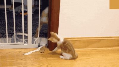 “MOOOOOOM! He’s on MY SIDE again!”