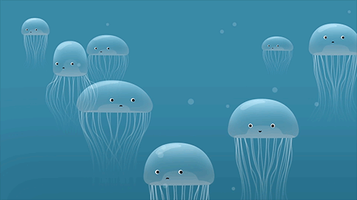 Ocean Portal 7 Underwater Facts For World Oceans Day