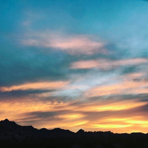 at Joshua Tree National Park