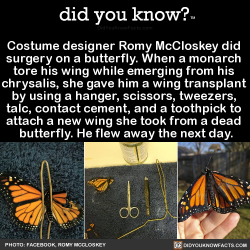 did-you-kno:  Costume designer Romy McCloskey