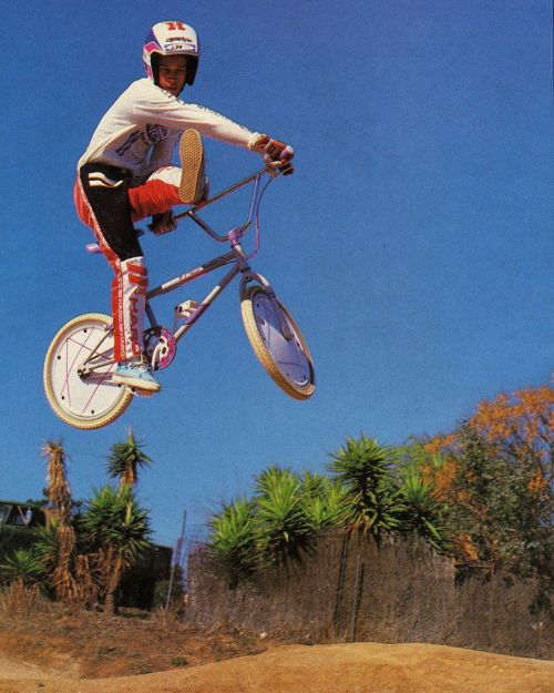 snakebitebmx:I’m ready for summer!! #bmx #oldschoolbmx #raleigh #superbmx #wheelcovers #snakebitebmx