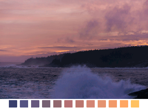 naturalpalettes:Sunsetting with a splash by Gabe Donohoe