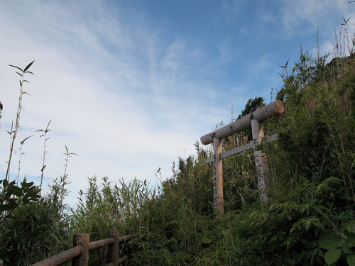 青ヶ島 Aogashima