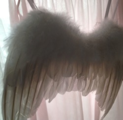 blodbad:  angel wings ♡ 