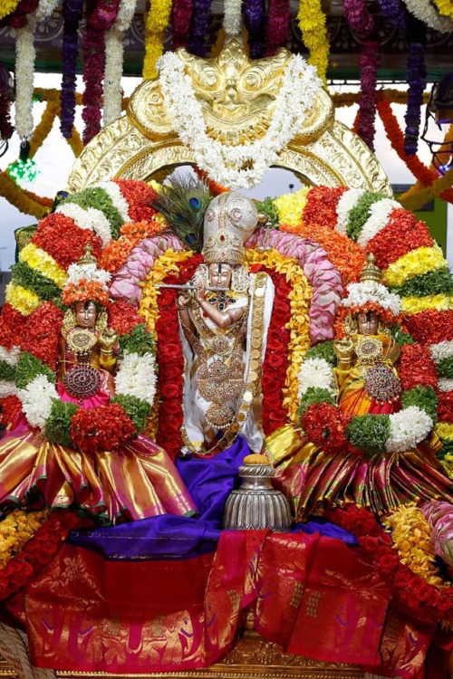 Krishna with Rukmini and Satyabhama at Thiruchanur theppotsavam, Tamil Nadu