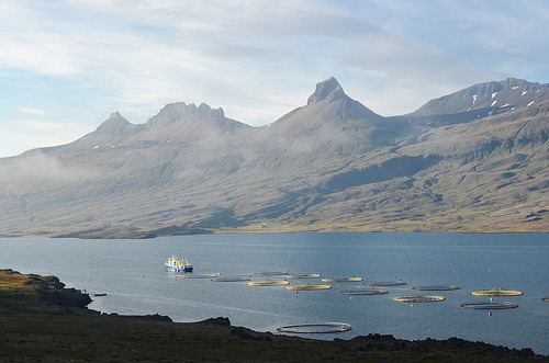 randomiceland:  20120707-DSC_8714