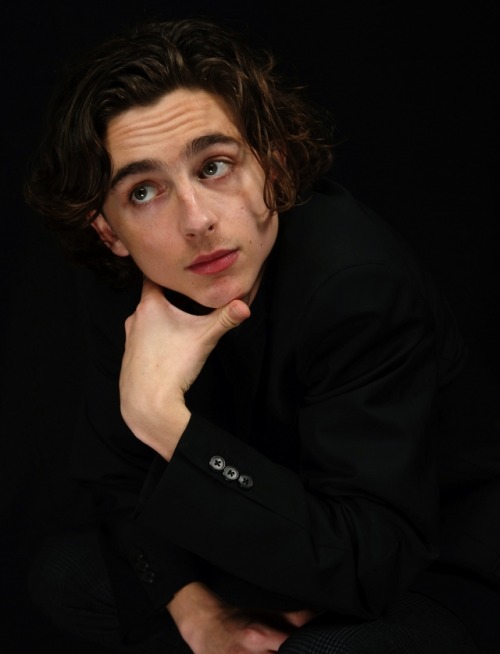 liltimmyturner: lookingforatardis: the-nonna-universe:✨  timothée “i know my jawline is