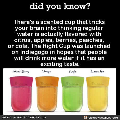 beautiful-poptart:did-you-kno:There’s a scented cup that tricks your brain into thinking regular wat