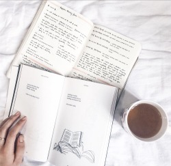 studylustre: reading angsty poetry + bullet journalling  🍂 