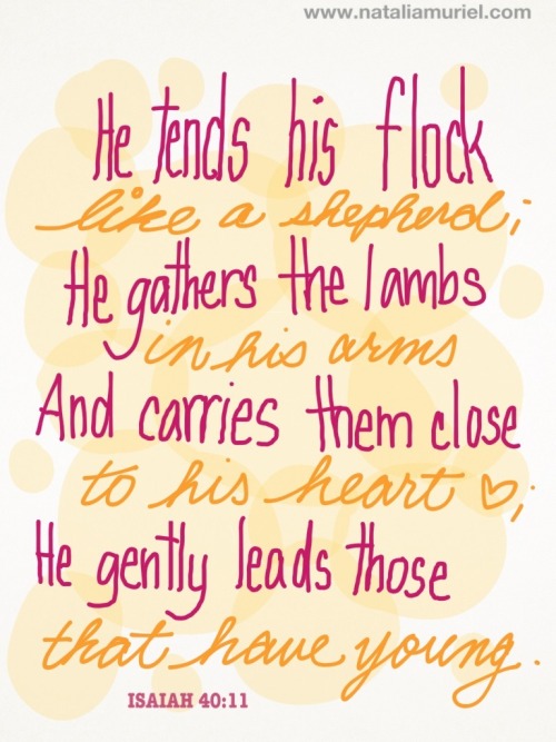 Jesus is the good shepherd! “He tends his flock like a shepherd; He gathers the lambs in his a