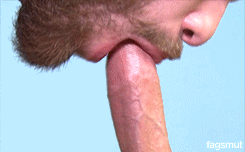 hugehorsehung:  That tongue technique! Must