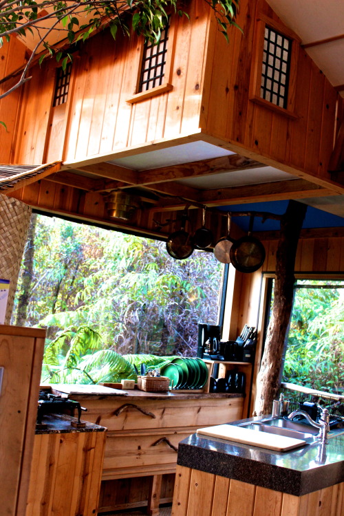 ffsry:  hybrid-machine:  lilysprettysillylife:  http://www.volcanotreehouse.net  Oh my this was a house created with love. Very inspirational for one of my own, one day :)  i want this to be my home some day