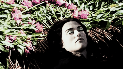 fredelster:mergana au → merlin goes back to give morgana a burial