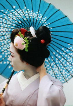 geisha-kai:  Maiko Fukuhana of Miyagawacho