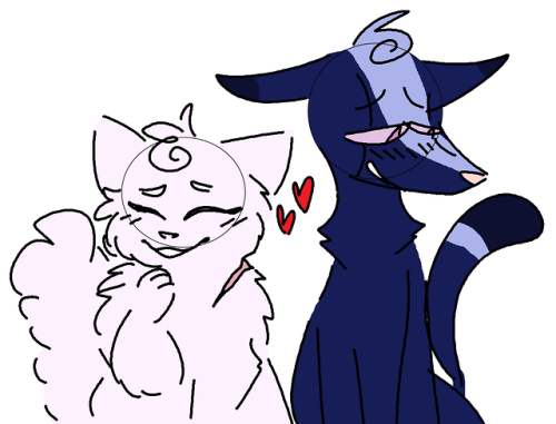 gay cats gay cats