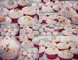 A World Of Cupcakes… on Flickr. -Photo by me.