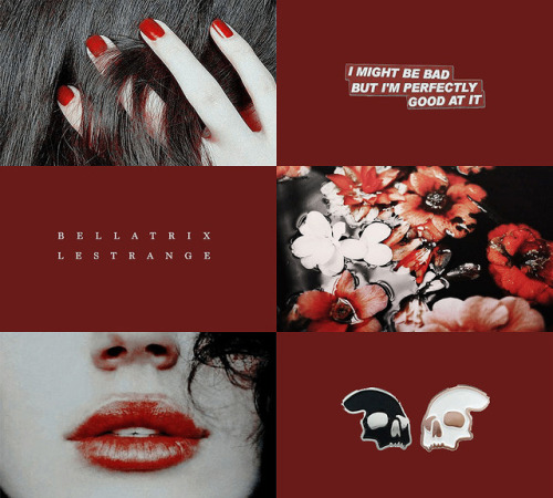 draamione:THE BLACK SISTERS (bellatrix lestrange, andromeda tonks, and narcissa malfoy) “