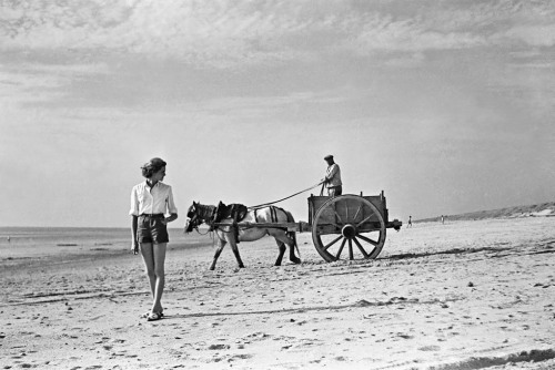 (above)Sur les Dunes, Autoportrait, Gouville. Photo prise au Trépied = On the Dunes, Self-Portrait, 