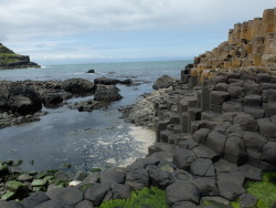 travelthisworld:  Giants Causeway. Ireland submitted by: thisiswhatic, thanks! 