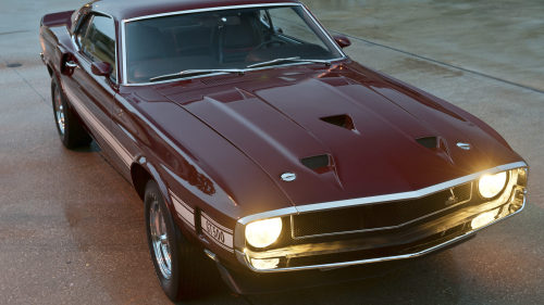coloursteelsexappeal: 1969 Shelby GT500