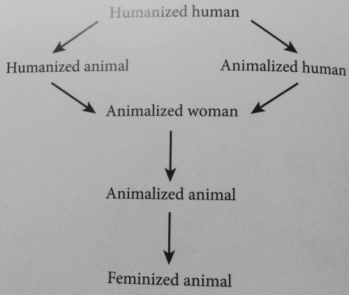 “Underlying gender categories are functioning in our representations of and treatment of the o