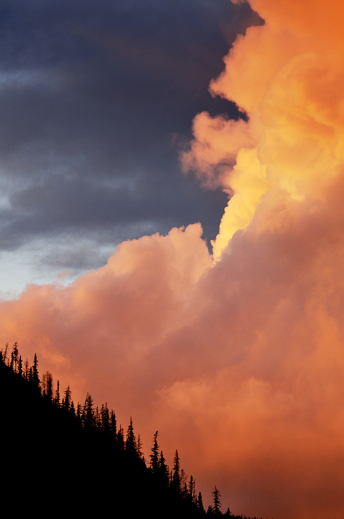 brutalgeneration:  fire storm (by Tim Ennis) 