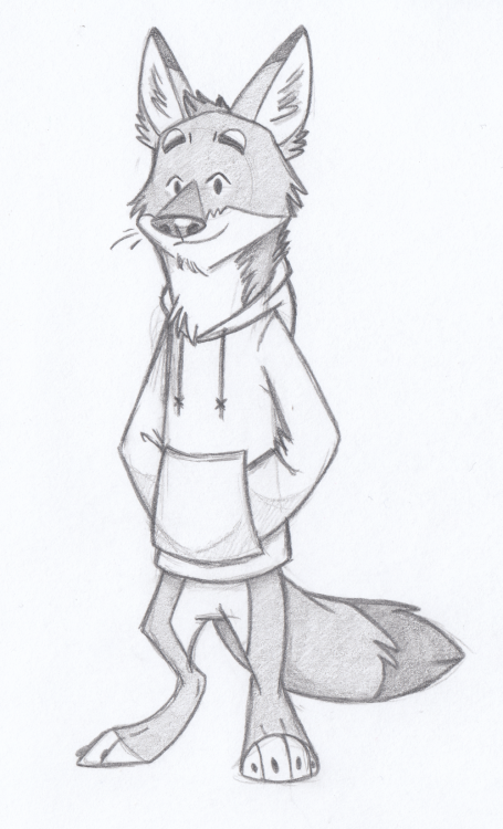 raincoyoteart