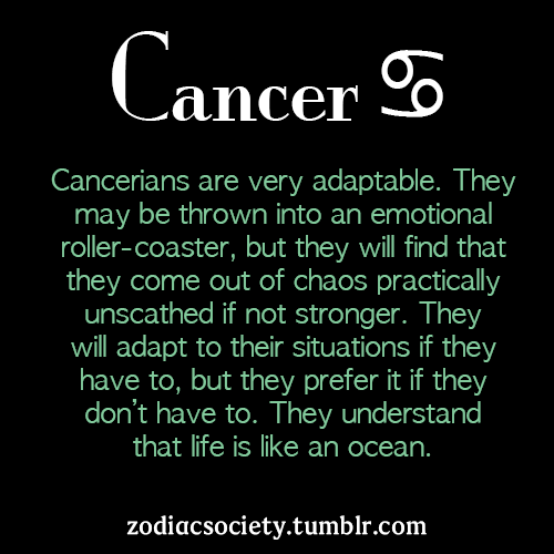 zodiacsociety:  How To Seduce Each Zodiac Sign If Each Zodiac Sign Was a Drug  Zodiac