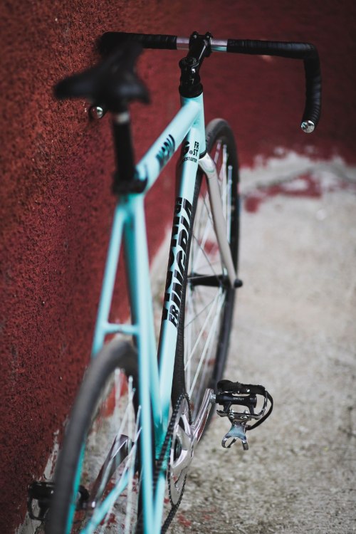 irminsulfixed: Ingria Firestarter