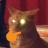 z9m2-deactivated20210707:source 