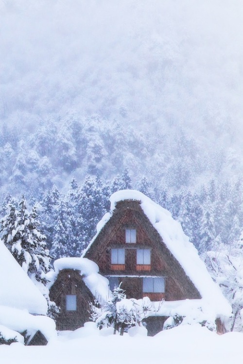 packlight-travelfar: (via 500px / Heavy snow in Shirakawa-go by MIYAMOTO Y)