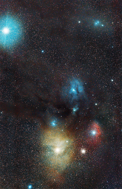 Rho Ophiuchi Cloud Region ©