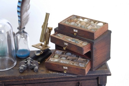 Birds Egg Collections by Laura Brownhill. Drawers handmade by CINEN. Microscope handmade by Kastle K