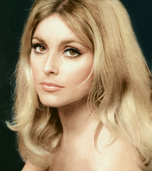 lily-laurent:Sharon Tate -1966