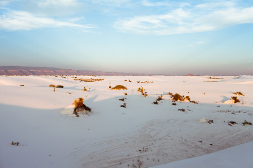 theriversandtheroads:  Dream World.  White Sands, New Mexico.  