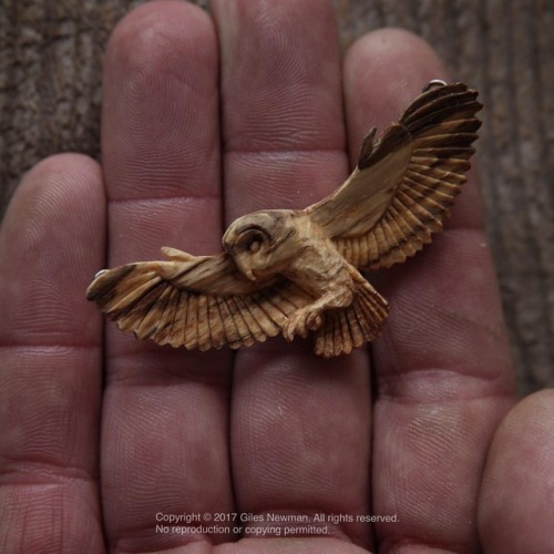 gilesnewman: The finished Barn Owl pendant.  Hand carved by knife from English Oak. Wingspan: 6.3cm (2.4in)  The colouring of this piece is entirely natural and was already within the wood itself… in fact it was the colour that inspired me to carve