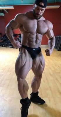 musclebull23:  