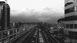 https://69.media.tumblr.com/f12d07a5efd1d27348fcfb51df38e896/tumblr_mgexshWoKo1rbf6lto1_250.gif