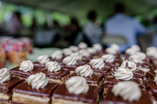 Riverbend Environmental Education Center: Farm to TableJune 2015, Gladwyne, PA By Schuyler LOriginal