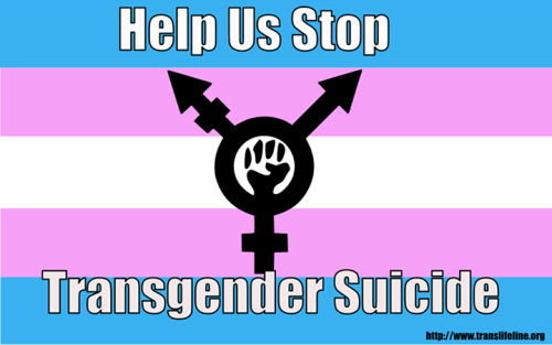 “Trans Lifeline is preparing to upgrade our phone software. This will accomplish two things:1.