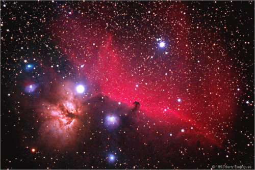 n-a-s-a:  B33 - The Horsehead Nebula B33 Credit: Jerry Lodriguss