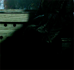 Fuck Yeah Game of Thrones