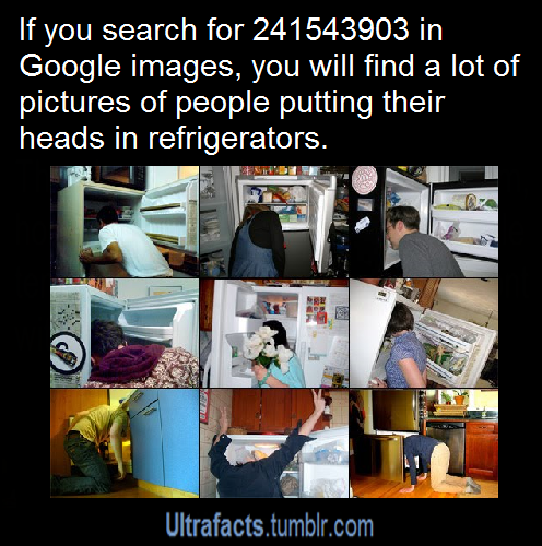lana-del-kam:  ultrafacts:  Ultrafacts   I looked this up an it’s true. I don’t