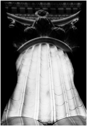 Heidi Kirkpatrick Flesh and Stone, 1995 - 1996