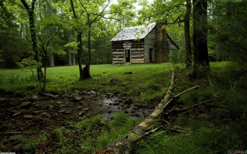 odditiesoflife:   A House In the Woods  “I went to the woods because I wished to live deliberately, to front only the essential facts of life, and see if I could not learn what it had to teach, and not, when I came to die, discover that I had not